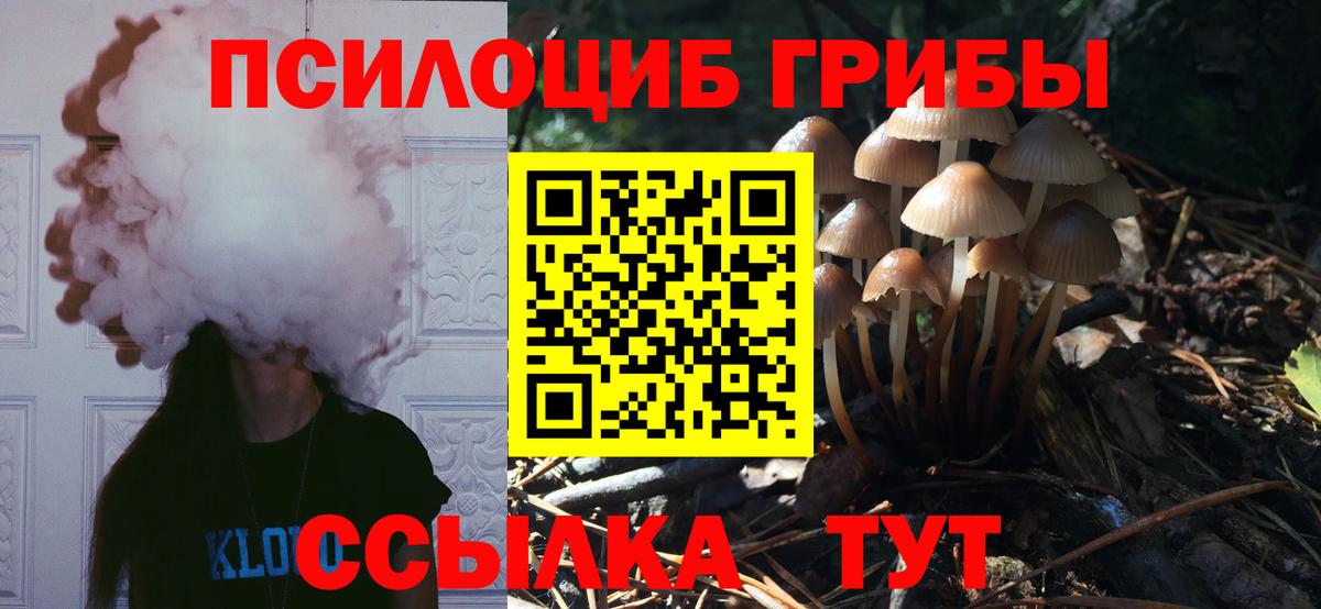 Галлюциногенные грибы прущие грибы  Вход с VPN  Киров 